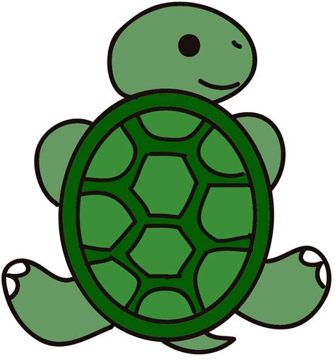 Animated Turtle Wallpapers Top Free Animated Turtle Backgrounds