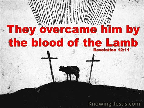6 Bible Verses About Lamb Of God