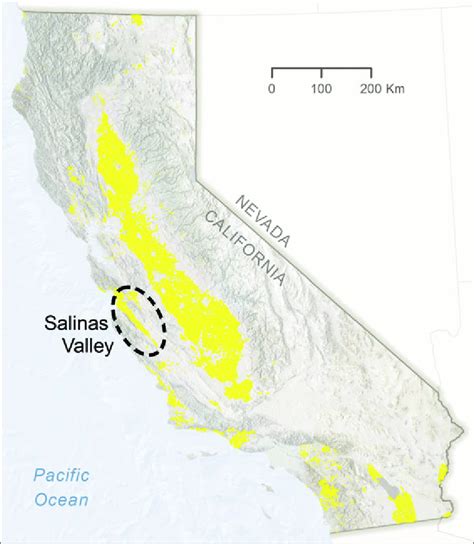 Agricultural Land Cover In The Us State Of California Yellow Shading