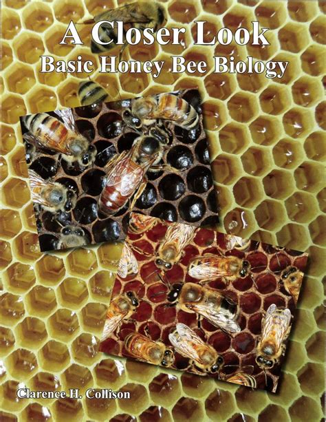 A Closer Look Basic Honey Bee Biology Beeculture