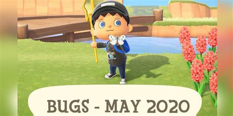 Animal Crossing New Horizons New Bugs For May 2020