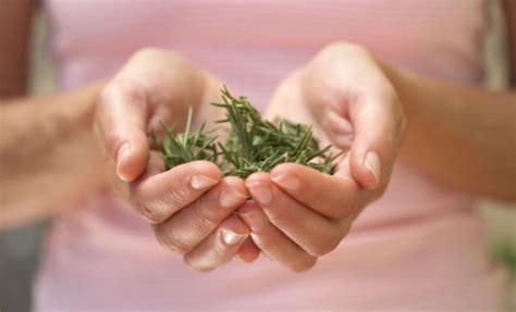 Cómo Múltiple La playa salvia para bajar la regla Suyo Potencial