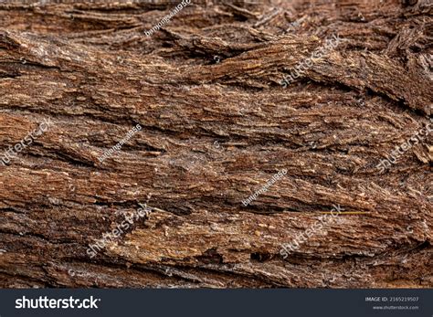 Bark Cedar Tree Texture Backgrounddry Tree Stock Photo 2165219507