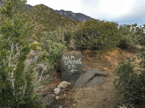 It is rated as one of the hardest hikes in the us with one of the greatest elevation gains. Cactus to Clouds - I Hike San Diego