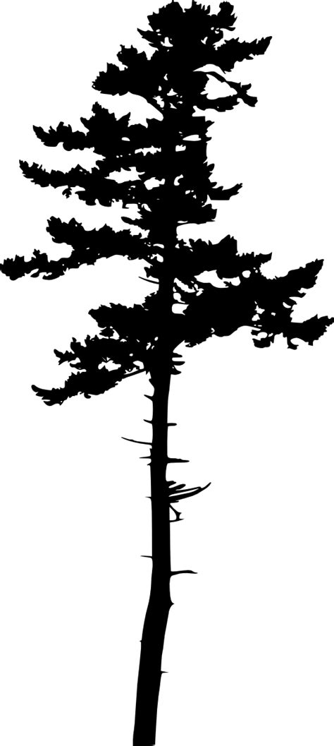 10 Pine Tree Silhouette (PNG Transparent) Vol. 3 | OnlyGFX.com