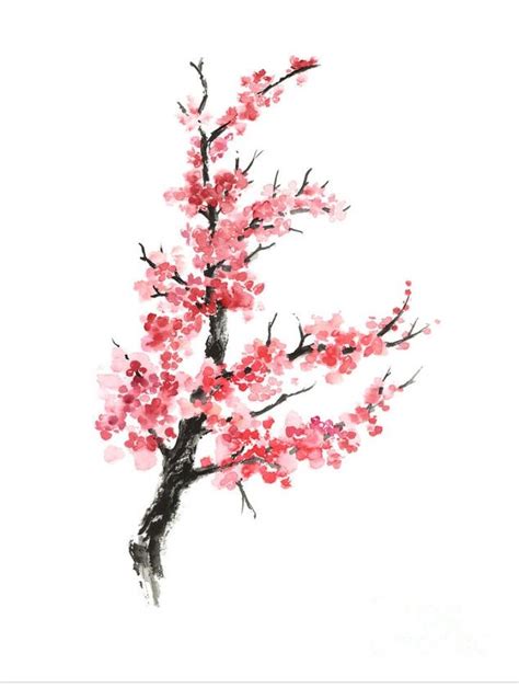 Anime Simple Cherry Blossom Tree Drawing