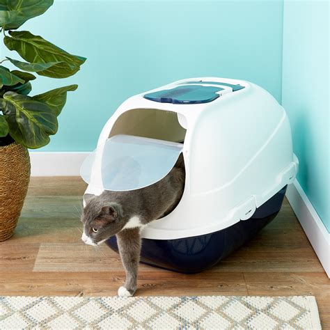 The 5 Best Litter Boxes For Multiple Cats Our 1 Pick For 2023