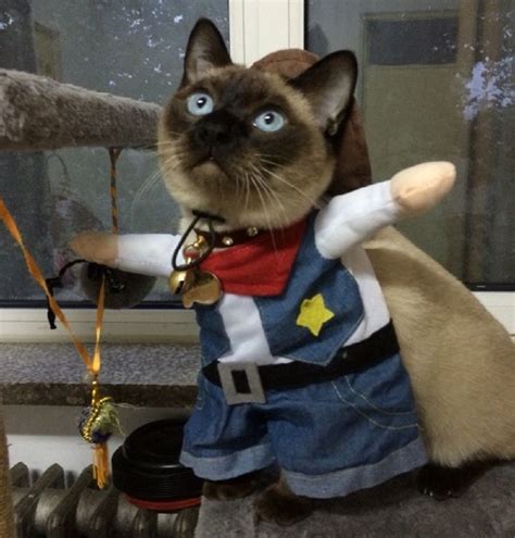 Pet Cat Costume Suit Cowboy Outfit Clothes For Halloween Christmas