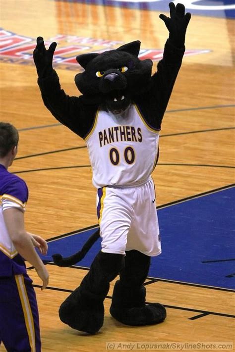 Northern Iowa Panthers Mascot Tc Panther Mascot Northern Iowa Team