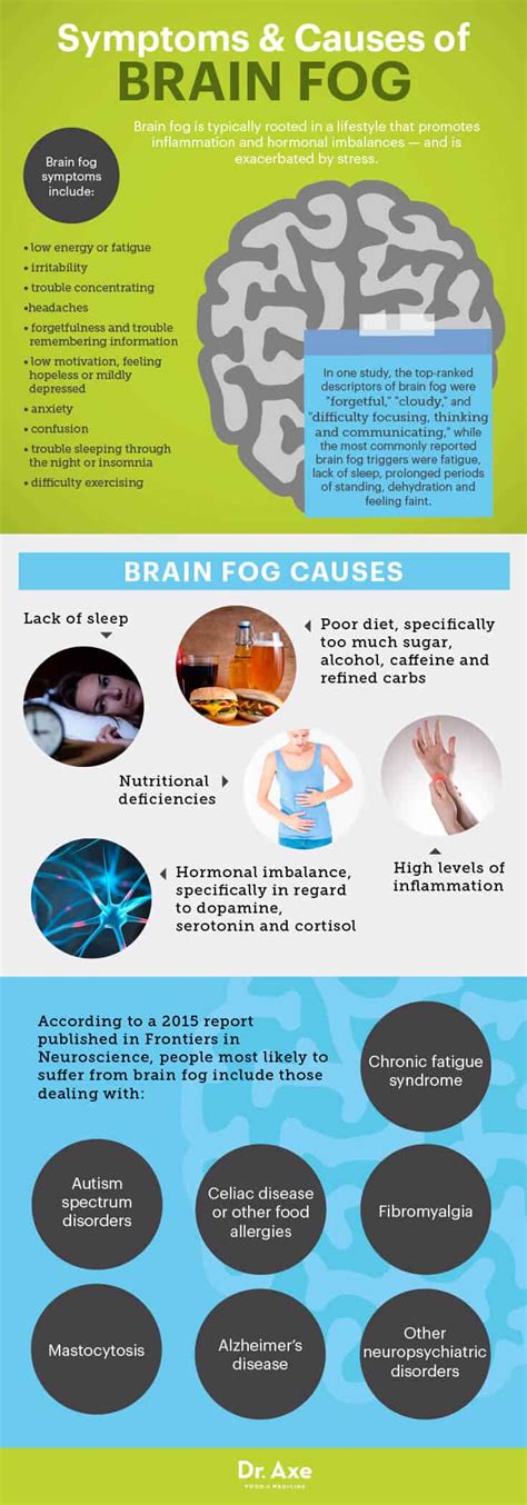 Causes And Natural Treatments For Brain Fog Dr Axe