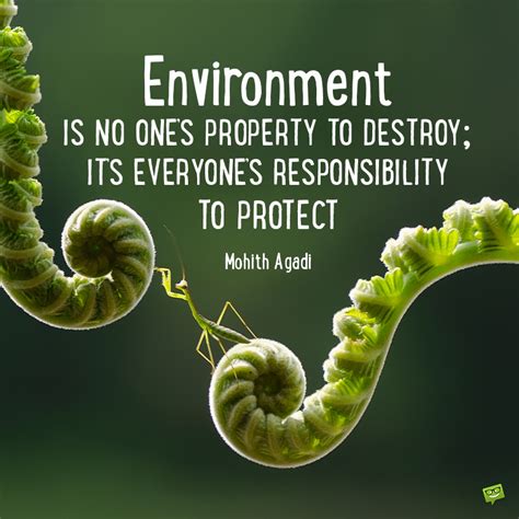 525 quotes have been tagged as protection: 70 Quotes About Protecting the Environment | A Home to Save