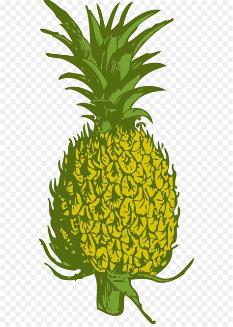 Check spelling or type a new query. 55 Gambar Nanas Hitam Putih HD - Gambar Pixabay