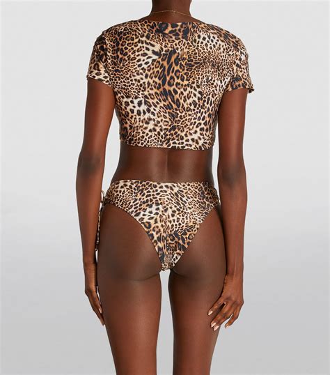 AllSaints Leopard Print Bo Kiku Bikini Top Harrods US