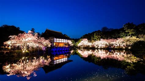 Kyoto Night Wallpapers Top Free Kyoto Night Backgrounds Wallpaperaccess