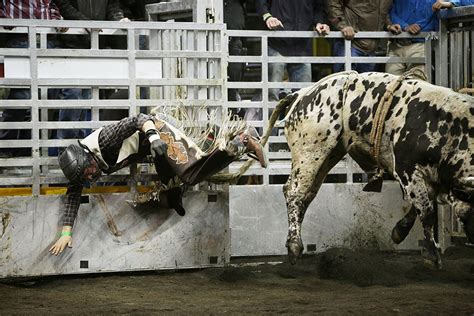 Photos Bull Riding At The Spokane Arena Bloglander