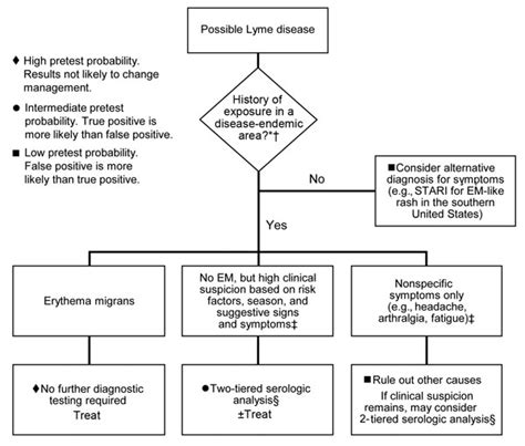 Updated cdc recommendation for serologic diagnosis of lyme disease Figure 3 - Current Guidelines, Common Clinical Pitfalls ...