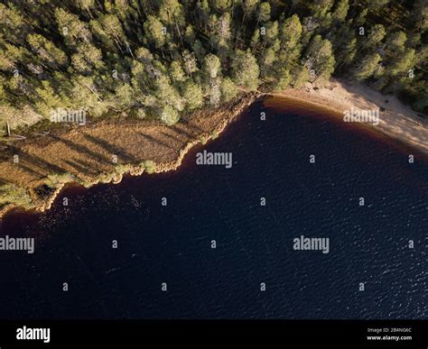 Aerial View Of Boggy Lake Shoreline With Sandy Beach Stock Photo Alamy