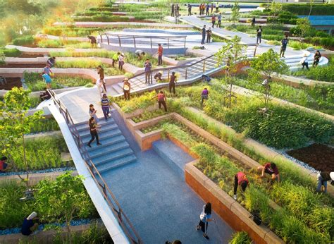 Thammasat Universitys Urban Rooftop Farm — Agritecture
