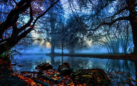 England London Morden Hall Park Trees River Fog