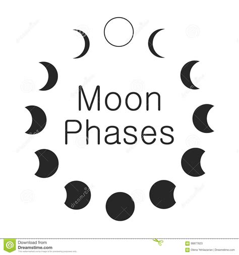 26 Understanding Moon Phases Astrology Astrology Zodiac And Zodiac Signs
