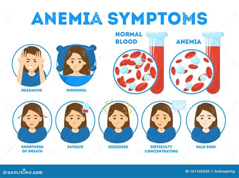 Anemia Symptoms Infographic Blood Disease Stock Vector Illustration
