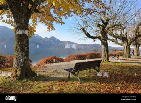 Bench At Kochelsee In Autumn Kochel Am See Bad Tolz Wolfratshausen