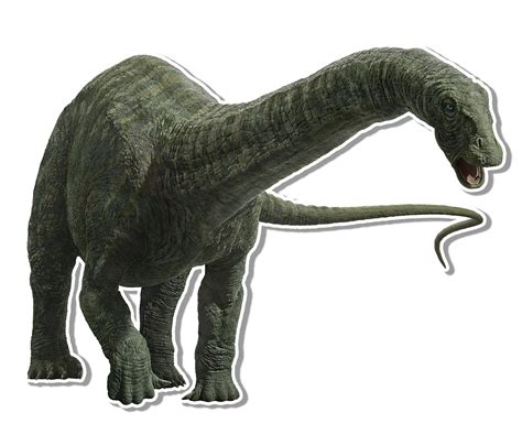 Apatosaurus Sp Sf Jurassic Pedia