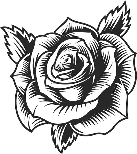 Rose Drawing Tattoo Tattoo Outline Drawing Skull Art Drawing Roses
