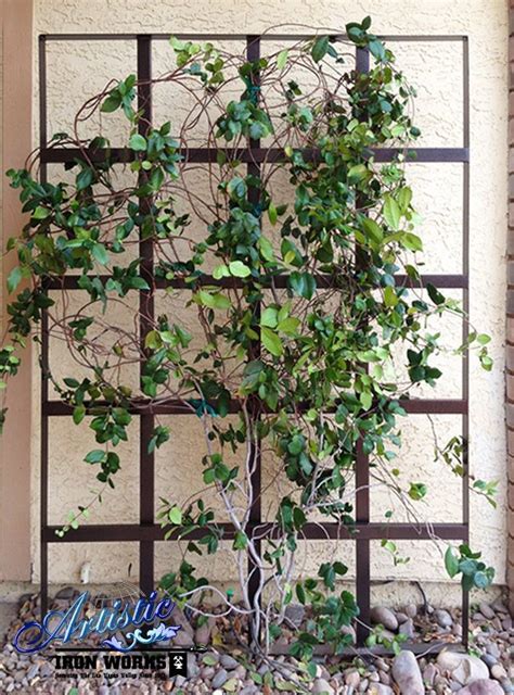 Wrought iron and metal trellises can be quite costly. 16 best Wrought Iron Trellises images on Pinterest ...