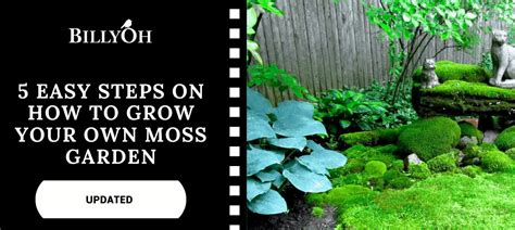 How To Grow Your Own Moss Garden In 5 Easy Steps Extra