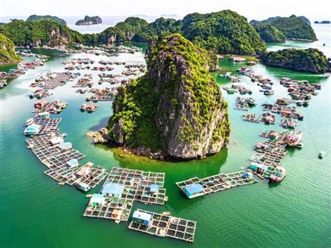 Best Halong Bay Day Trip From Hanoi Is A Day Trip Worth Visiting