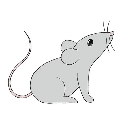 How To Draw A Mouse Drawing Tutorial For Kids