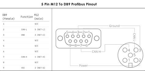 Everything About M12 Connector Coding Coding Chart Pinout Color