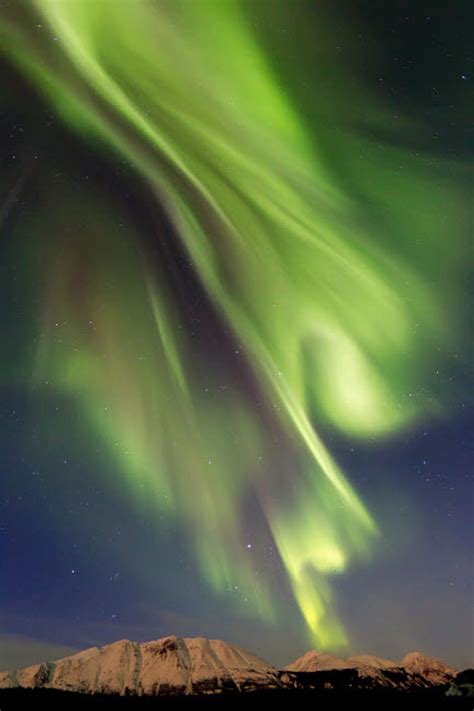 Aurora Borealis Over Emerald Lake Carcross Yukon Canada Poster Print