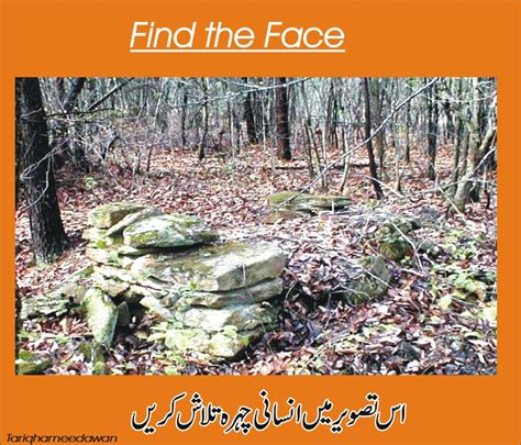 Find the human face - PuzzlersWorld.com