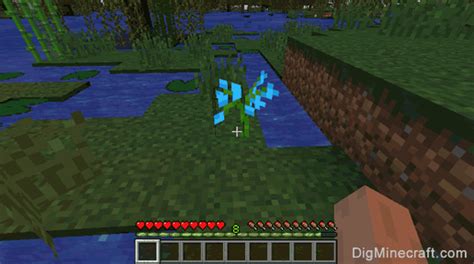 Fortune increases the maximum number of melon slices dropped. How to make a Blue Orchid in Minecraft