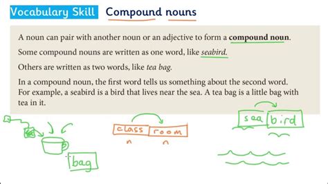 B2LS Unit 7 - Vocabulary Skill - Compound Nouns - YouTube