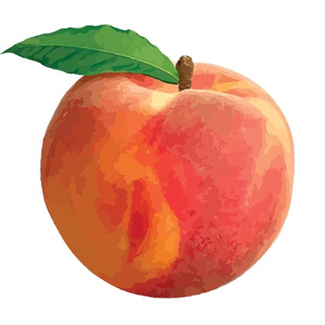 Natural Full Peach Png Png Play