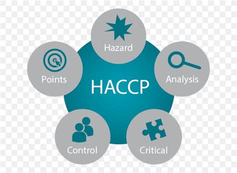 Hazard Analysis And Critical Control Points Food Safety Png X Px
