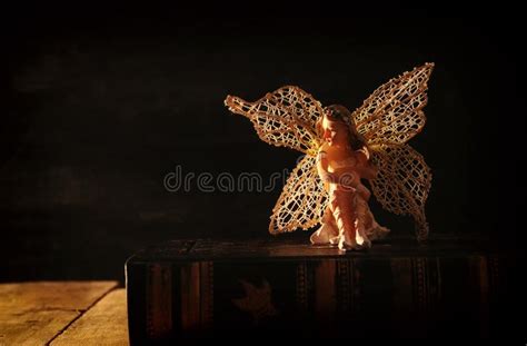 Image Of Magical Little Fairy Sitting On Old Story Book Stock Image