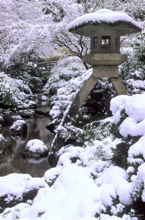 Japanese Garden in Snow Garden | Portland japanese garden, Japanese garden, Garden pictures
