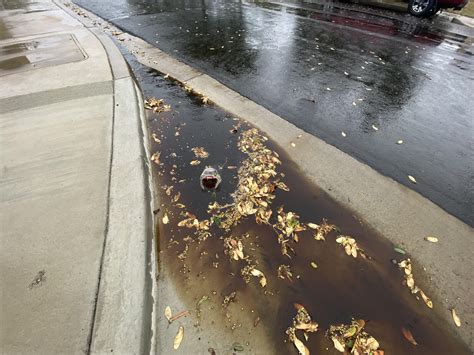 The First Few Days Of Rain After Drought In Sd Results In Oil Slicks