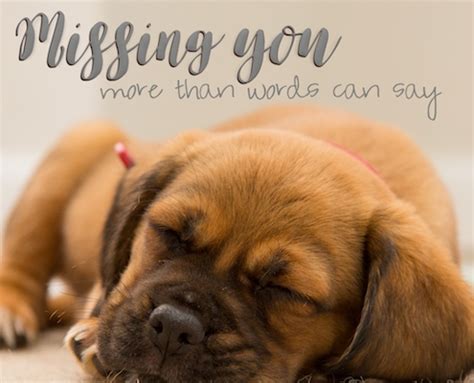 We did not find results for: More Than Words Can Say. Free Miss You eCards, Greeting Cards | 123 Greetings