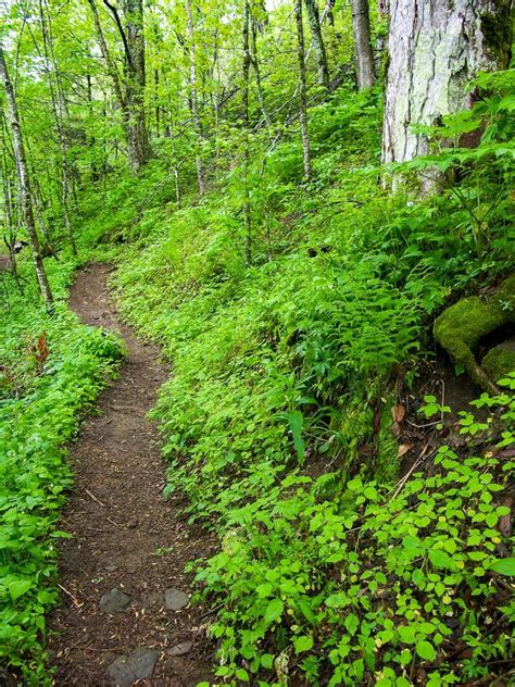 Post your grandfather mountain photos with our hashtag to instagram, facebook or twitter for a chance to be. Grandfather's Profile Hike in Grandfather Mountain State ...