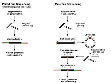 What Is Mate Pair Sequencing For