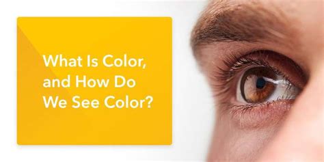 What Is Color And How Do We See Color