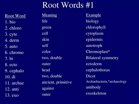 Ppt Root Words 1 Powerpoint Presentation Free Download Id4134887