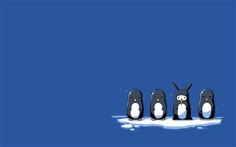 Minimalistic Penguins Wallpapers Hd Desktop And Mobile