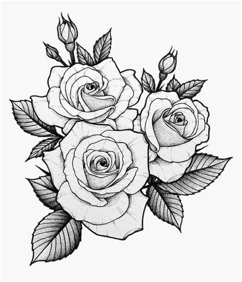 1001 Ideas Sobre Cómo Dibujar Una Rosa Paso A Paso Dibujos De Rosas