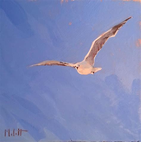 Painting Daily Heidi Malott Original Art Bird In Flight Seagull